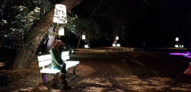 DescansoGardens-17 LCO Lichtbank in den Descanso Gardens Los Angeles