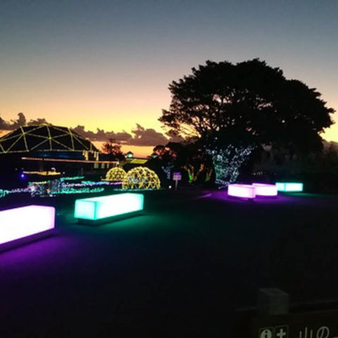 LCO LightCube at MotherFarm Chiba